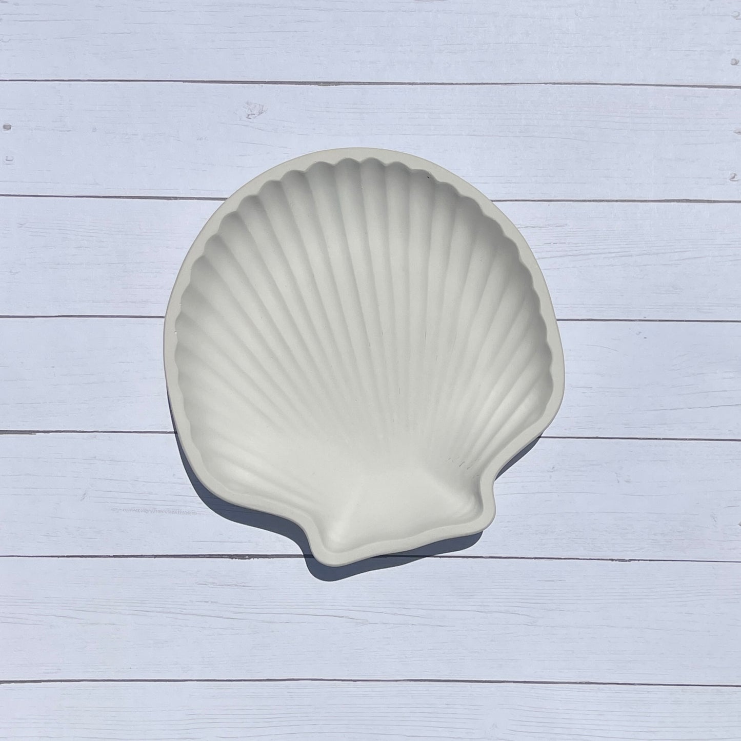 Seashell Dish