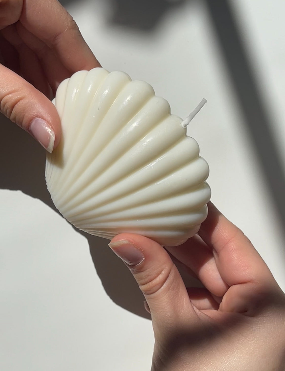 Coconut Seashell Soy Candle