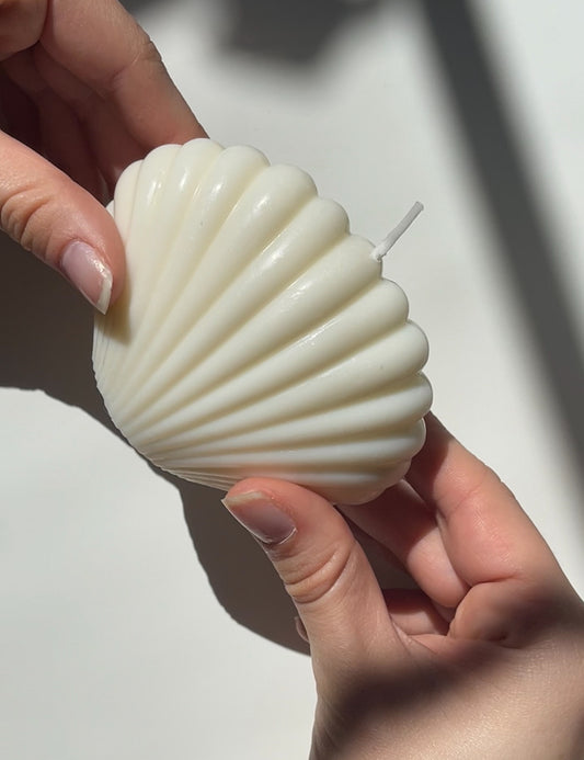 La vela de soja SeaShell
