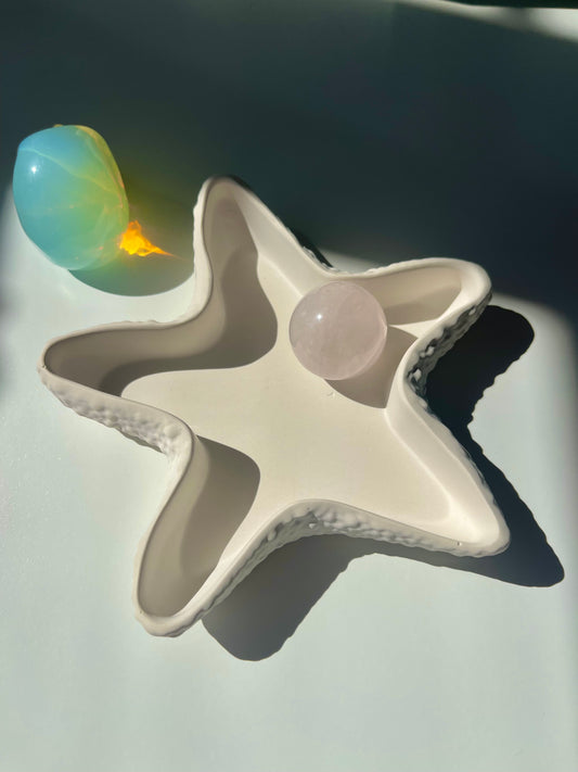 Starfish Dish