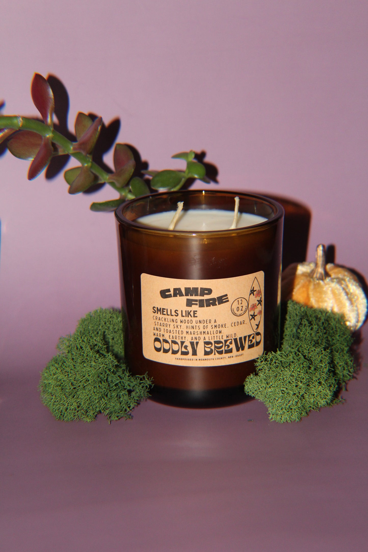 Large Campfire Soy Candle