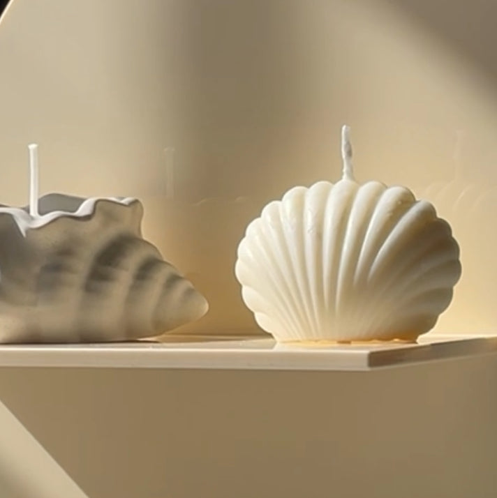 Coconut Seashell Soy Candle