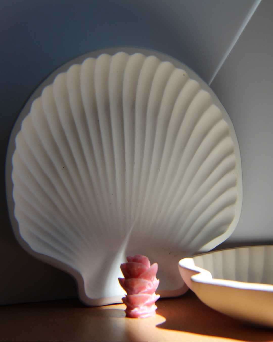 Seashell Dish