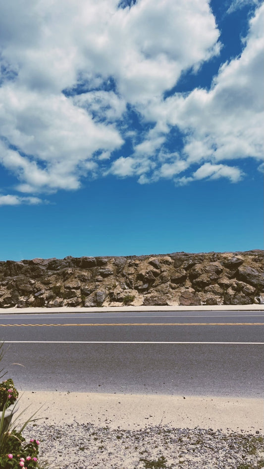 Keeping Our Beaches Beautiful: The Importance of Beach Cleanups