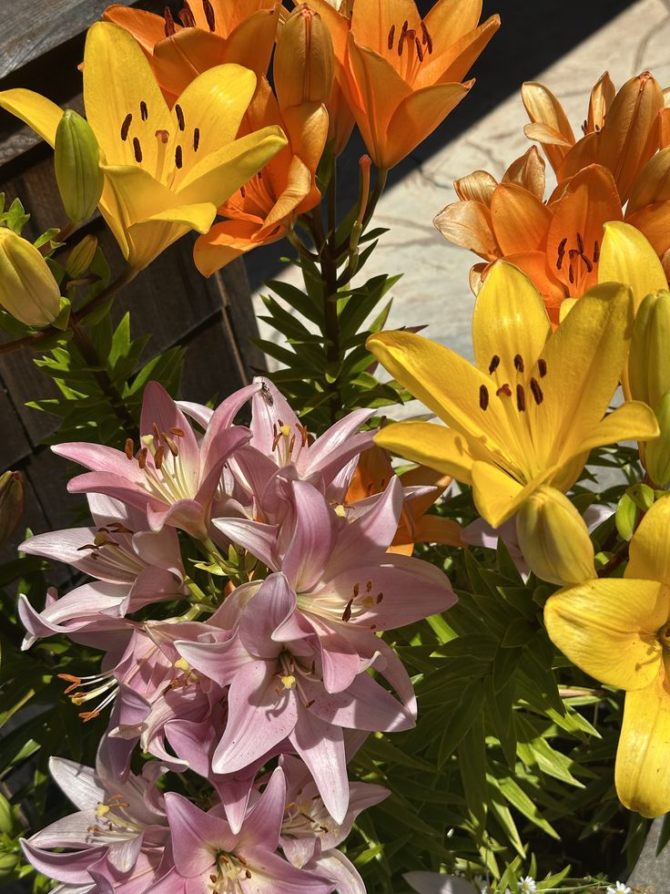 Floral Candle Collection – Lush Blooming Scents