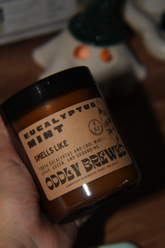 Eucalyptus Mint Organic Soy Candle