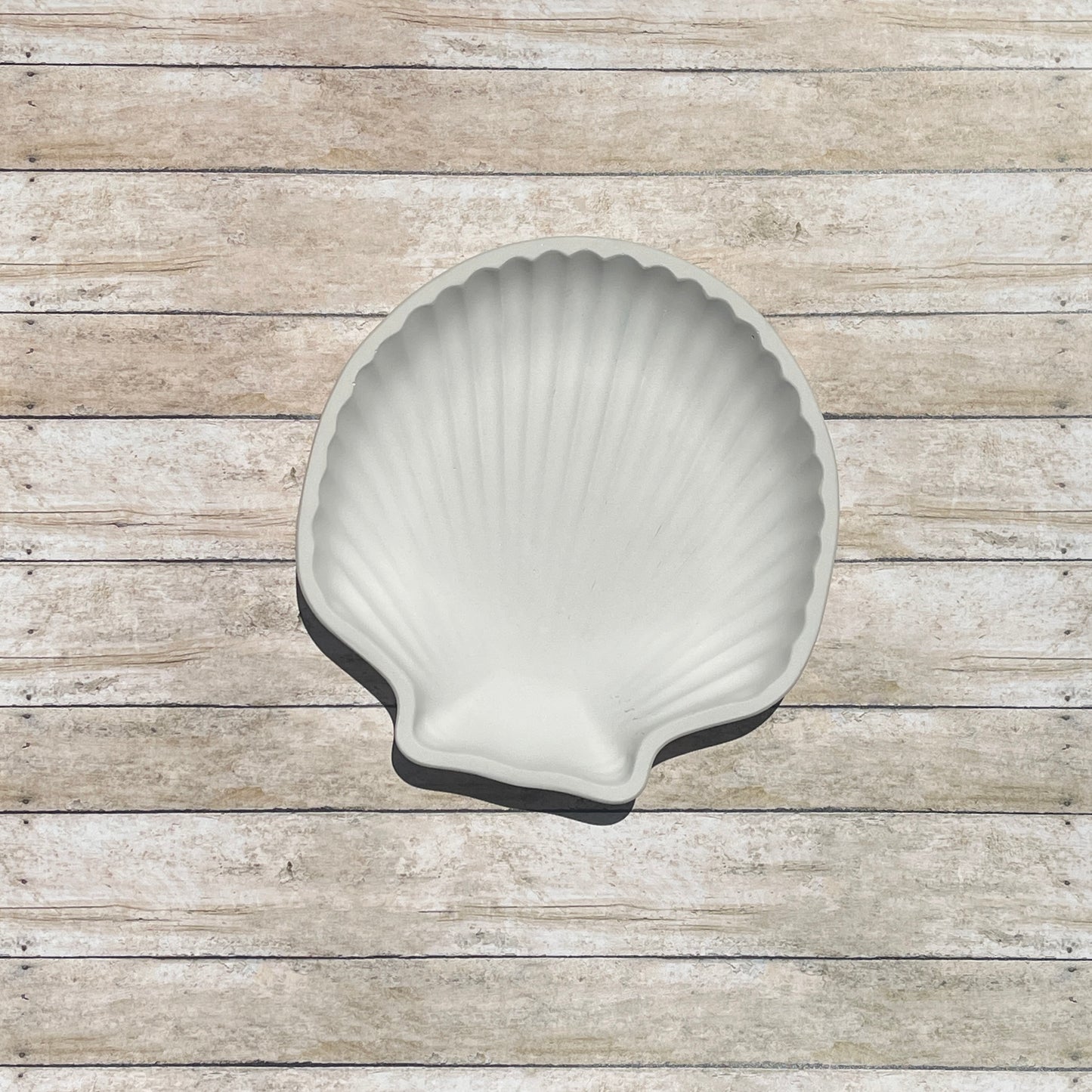 Seashell Trinket Dish
