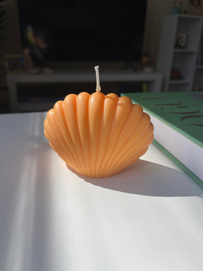 Seashell Soy Candle
