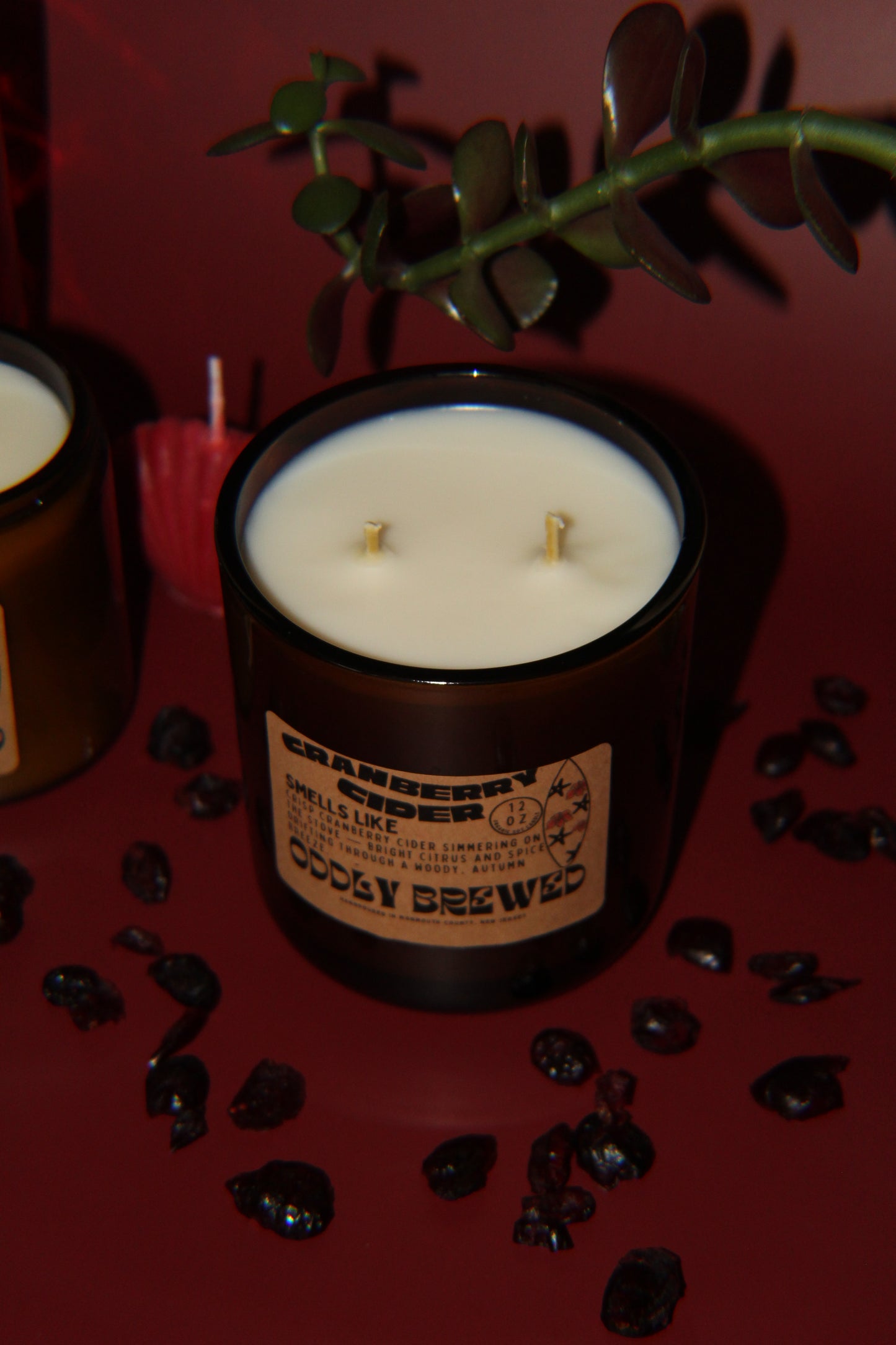 Large Cranberry Cider Soy Candle