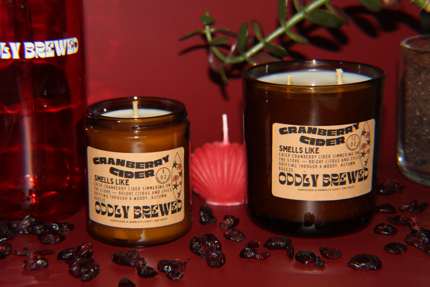 Large Cranberry Cider Soy Candle