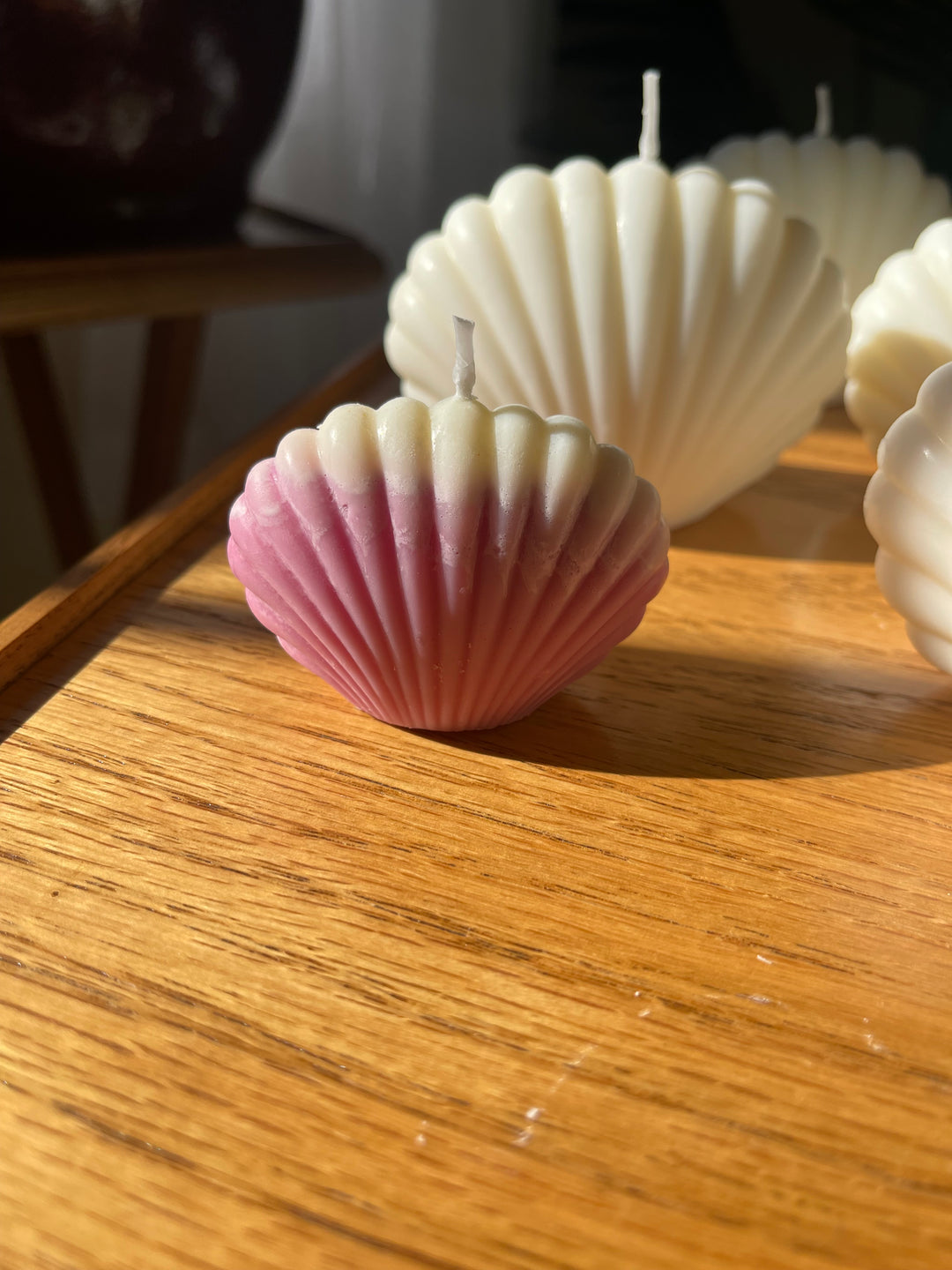 The SeaShell Soy Candle