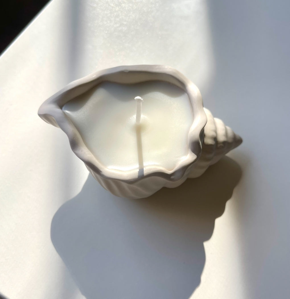 The Sally Seashell candle