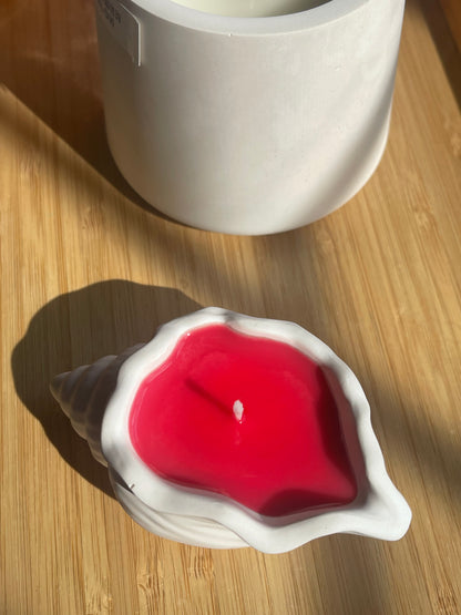 Pink Sally Seashell Soy Candle
