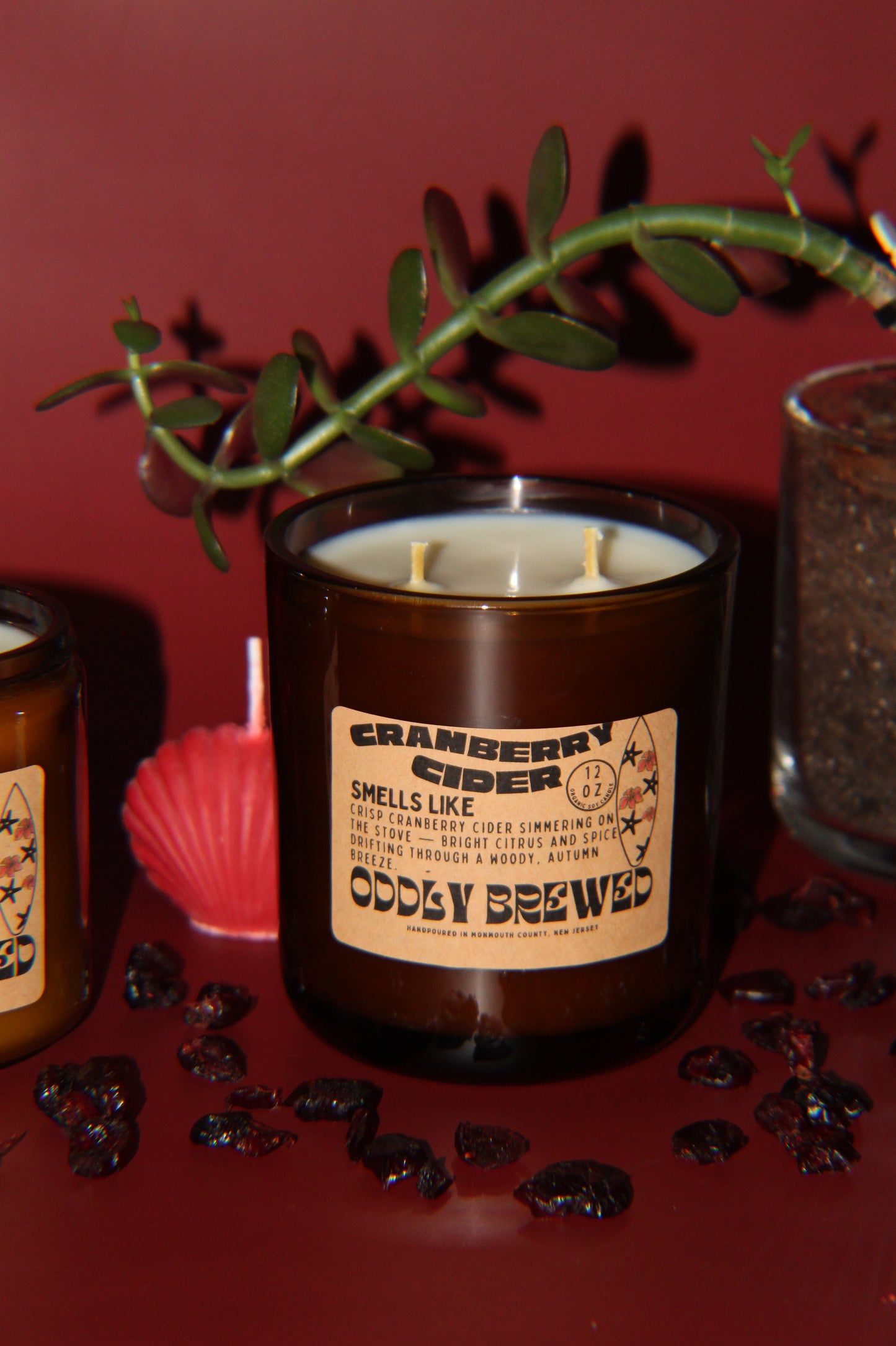 Large Cranberry Cider Soy Candle