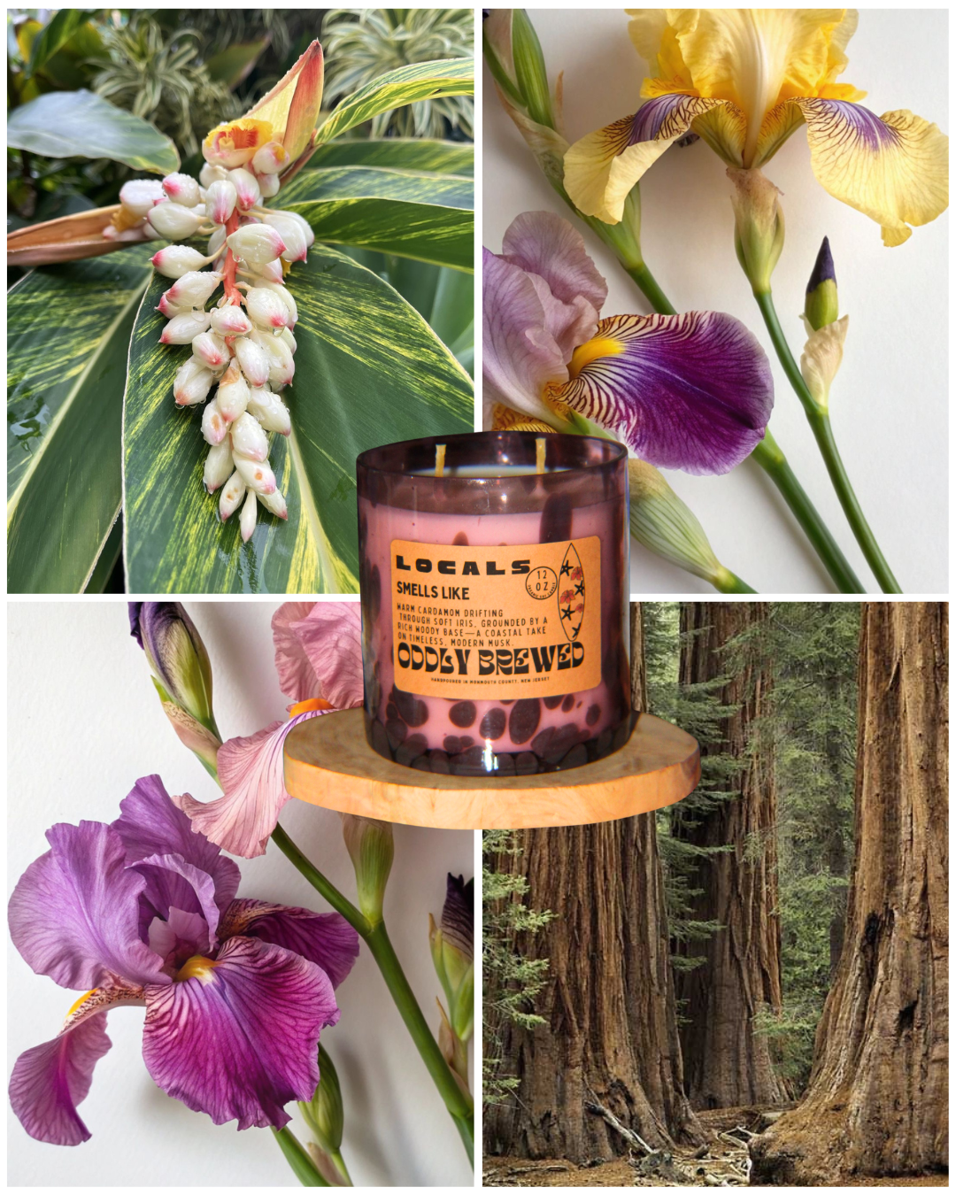 Mini Locals Soy Candles| Cardamom, Iris and Woody