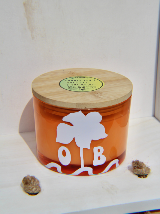 Tropical Melon Soy Candle (X-Large)
