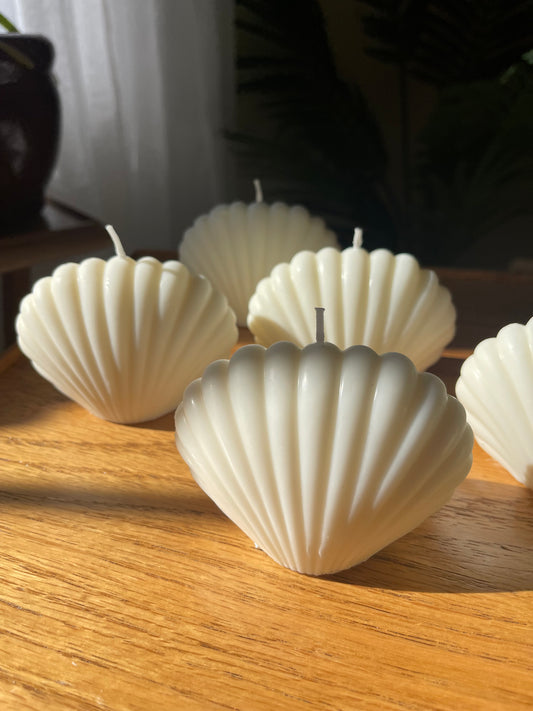 Coconut Seashell Soy Candle