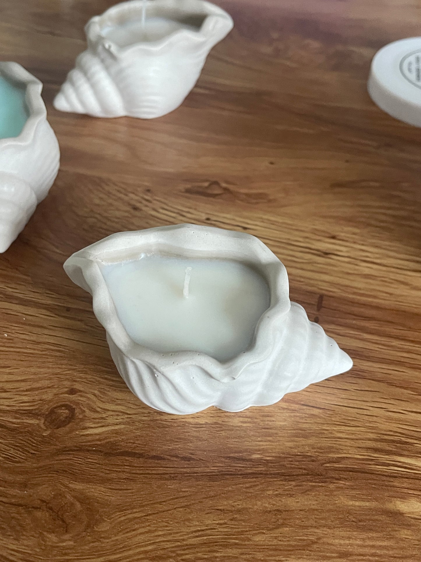 Sally Seashell Coconut Soy Candle