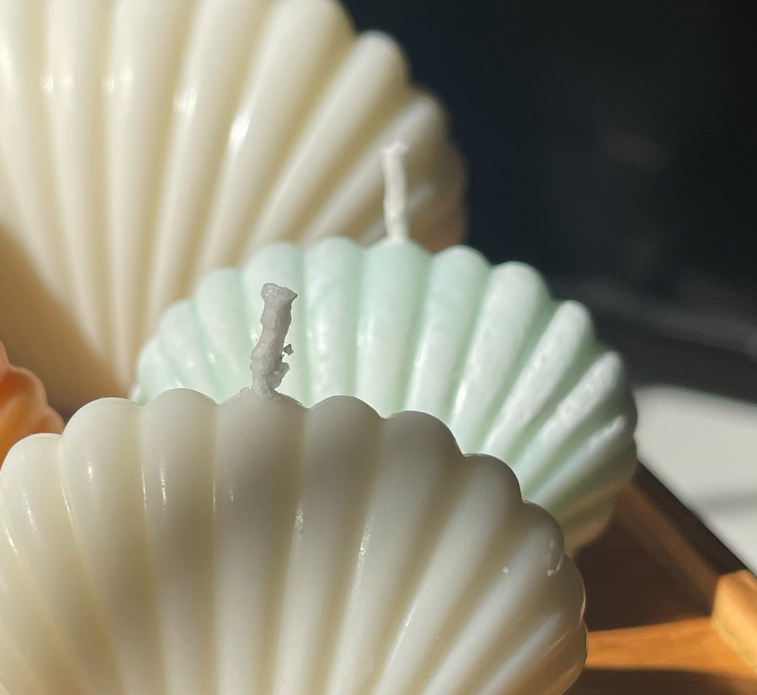 The SeaShell Soy Candle