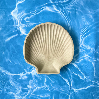 Sea Shell Trinket Dish