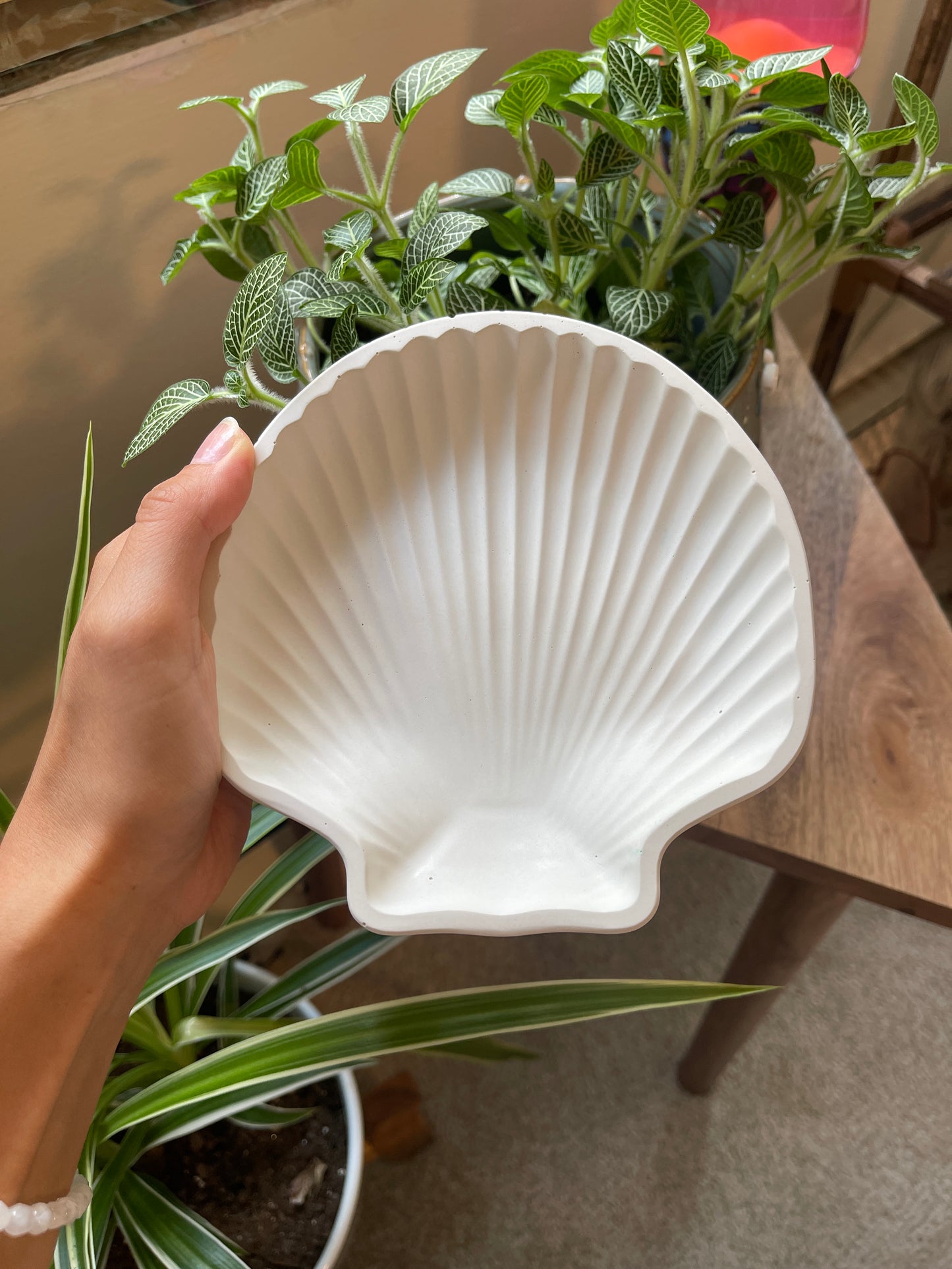 Sea Shell Trinket Dish