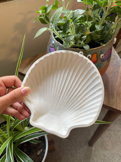 Sea Shell Trinket Dish