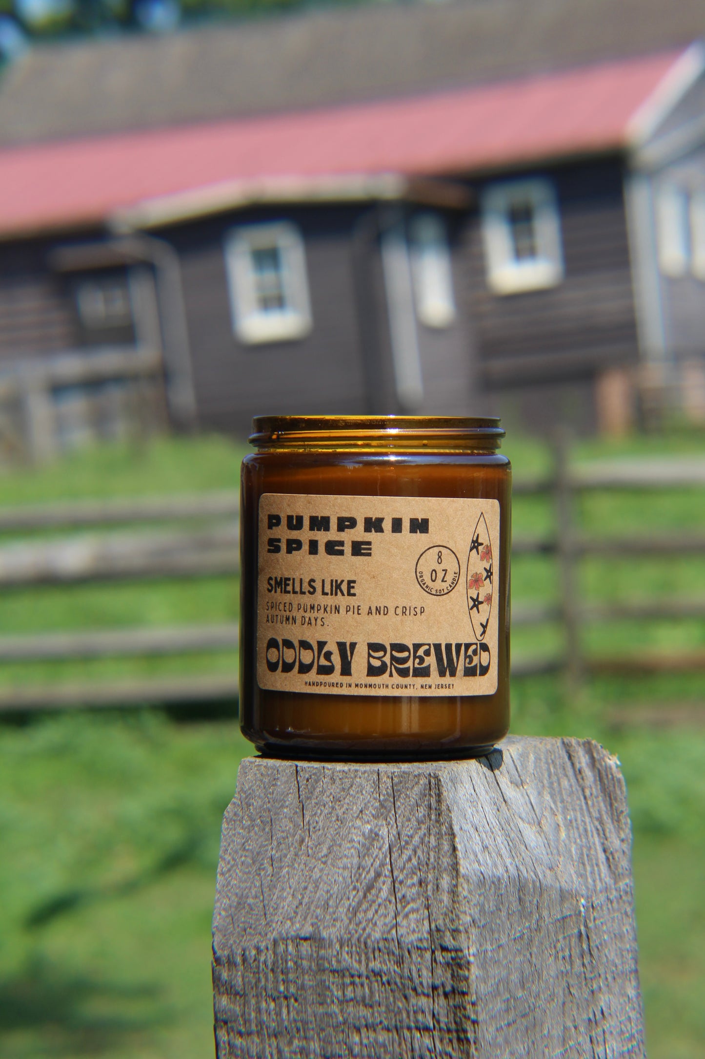 Pumpkin Spice Soy Candle