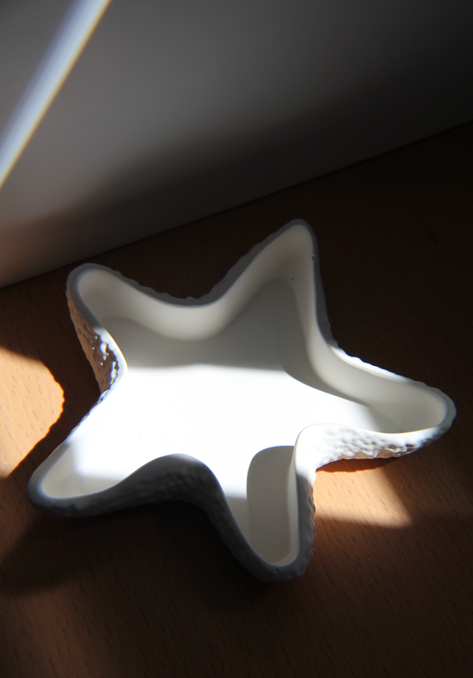 Starfish Dish