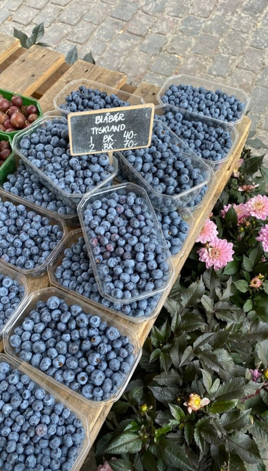 Jumbo Blueberry Cobbler Soy Candle